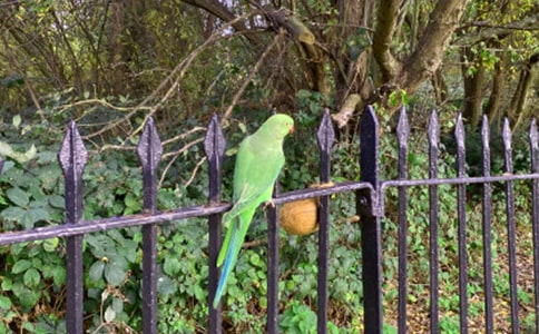 ���ĵ��ռ�