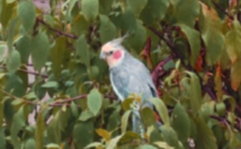 ��д���ĳ��ľ���