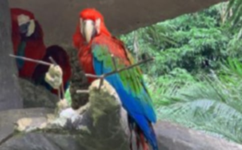 ���Ĺ۲��ռ�