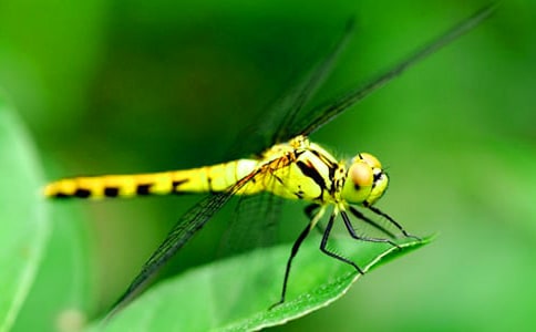 �����۶����[��Ʒ14ƪ]