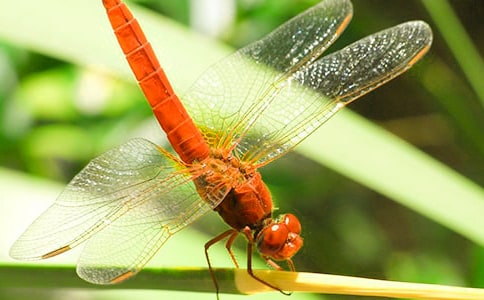 �����۶����10ƪ����ѡ��