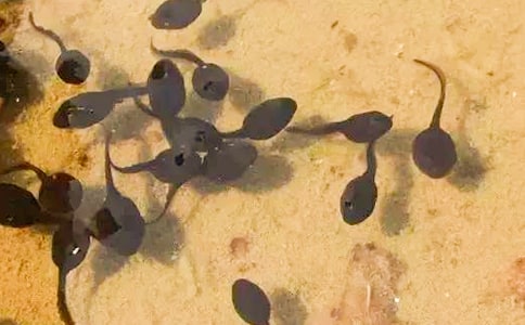 С����������ѧ��˼(15ƪ)