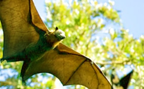 ���������������4ƪ