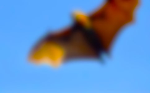 ���������״��ѧ��˼8ƪ