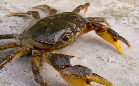 ���¶���С�з�������15ƪ