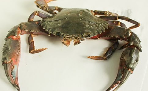 捉螃蟹日记12篇