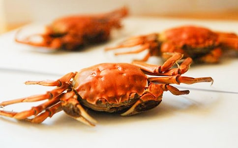 �������꼶�з�����Ļ���5ƪ