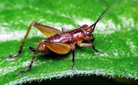 ���סլ��ѧ��˼����