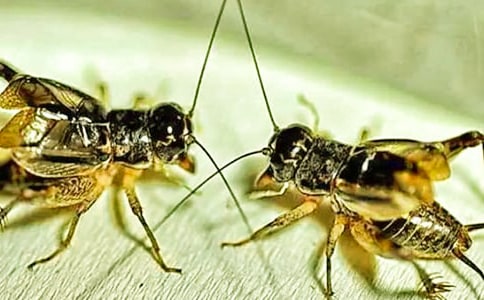 �����סլ����ѧ��˼����15ƪ