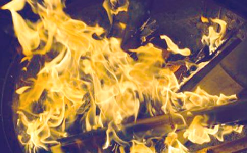 �����������ִ�