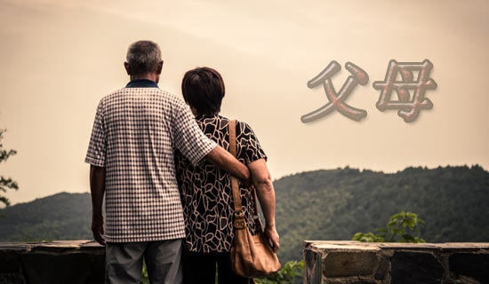 ��ĸ�İ�Сѧ���Ļ��8ƪ