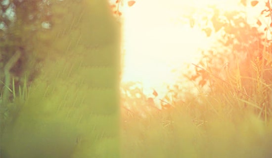 实用的唯美古风句子49条