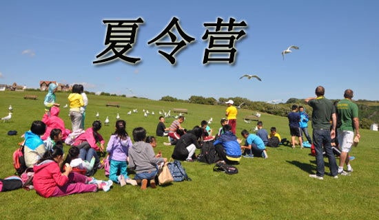 Сѧ��������Ӫ����